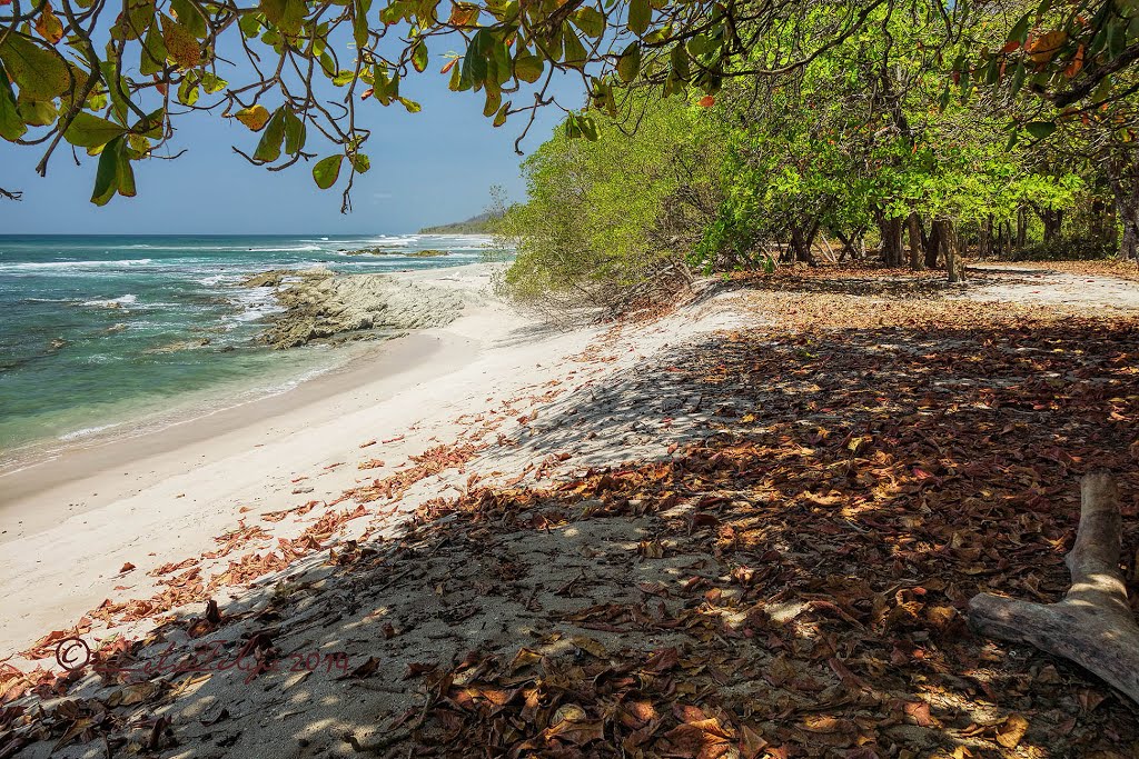 Playa Carmen (sector sur), Cóbano, Costa Rica by Melsen Felipe