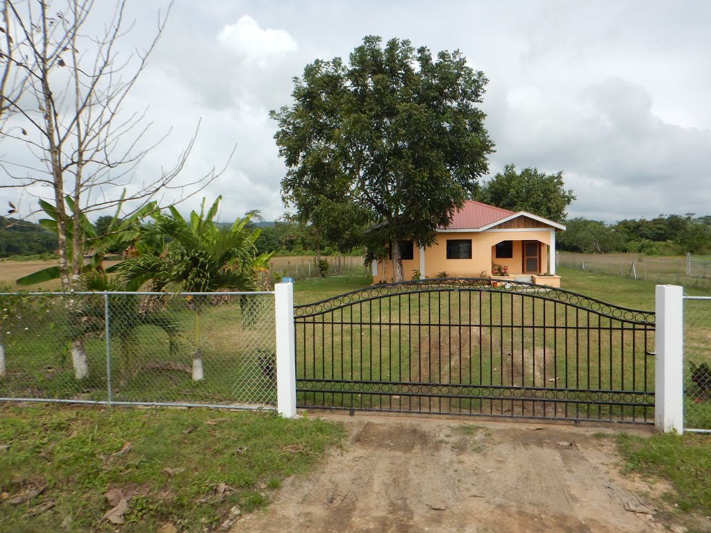 Unnamed Road, Belize by nev stone