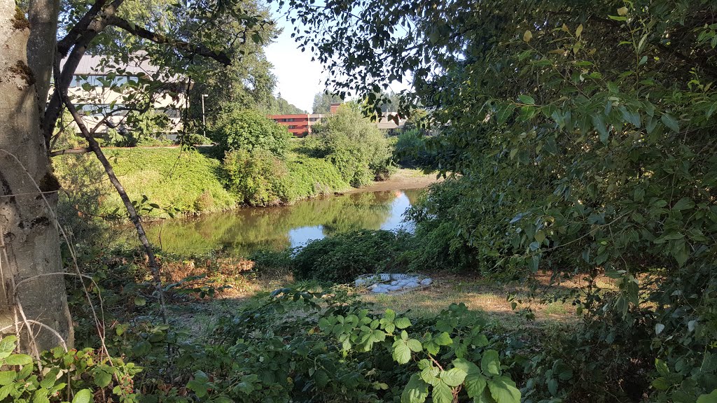 Tukwila, WA, USA by Senanayaka Bandara