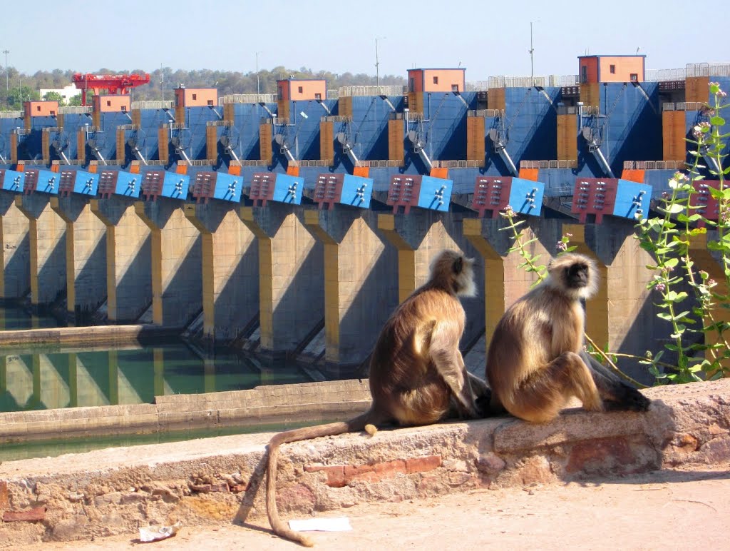 Omkareshwar Dam by piyush singh