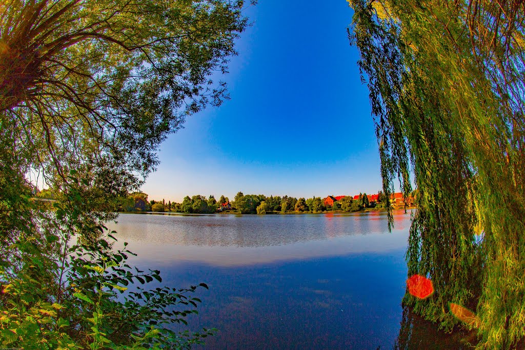 Zwischen den Bäumen kann man gut auf den See blicken ... ♥ by Boris Gonschorek