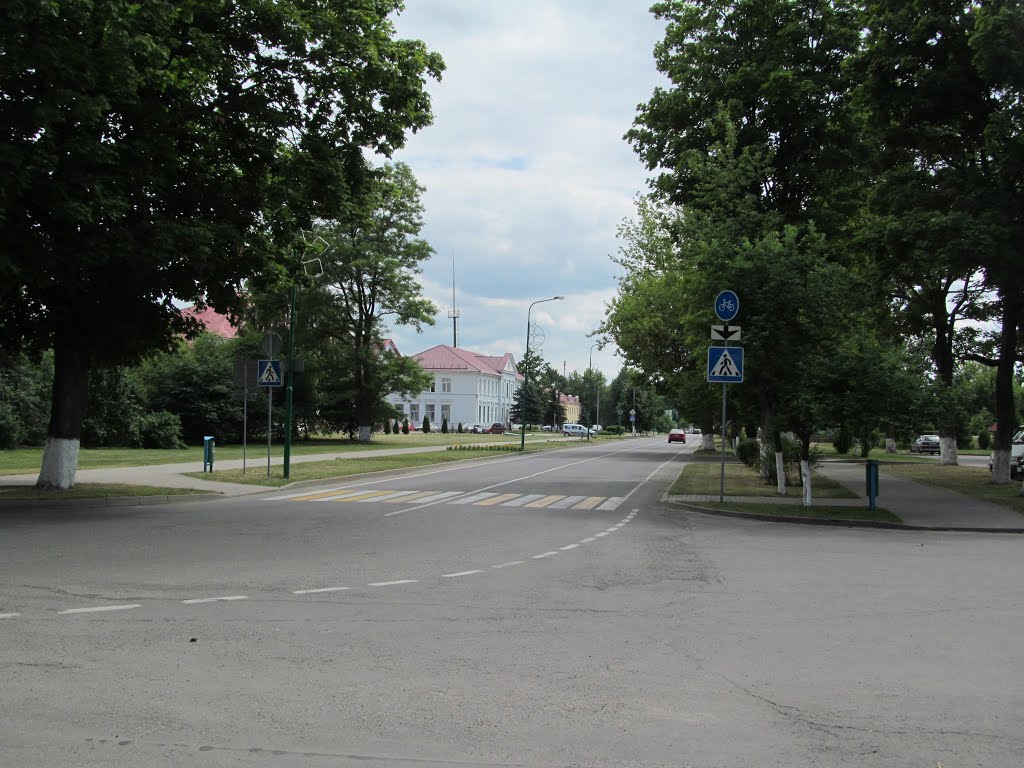 Central street of the town (with a bicycle path) by i.bulyha