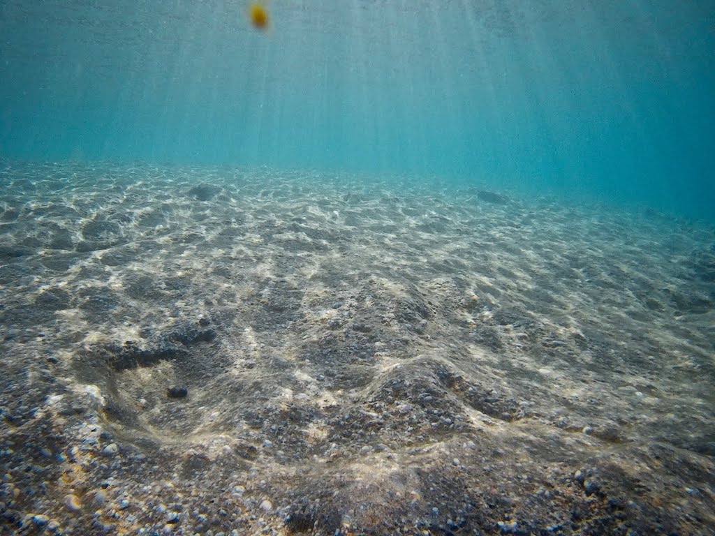 Por las Salinas del Cabo de Gata, Bajo el mar, Almería by José Angel De la pec…