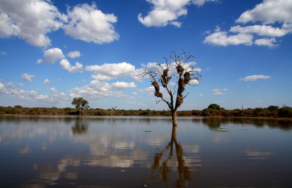 Lake in Kruger Park by Andrey Samokhin