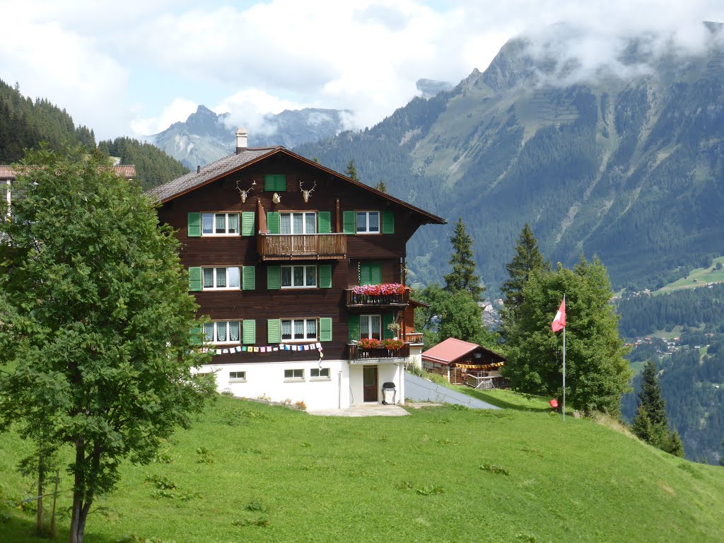 Landschaft bei Mürren 2 by Fredy Kim