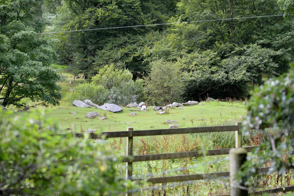 Llanrhaeadr-ym-Mochnant, UK by Lee Bryan