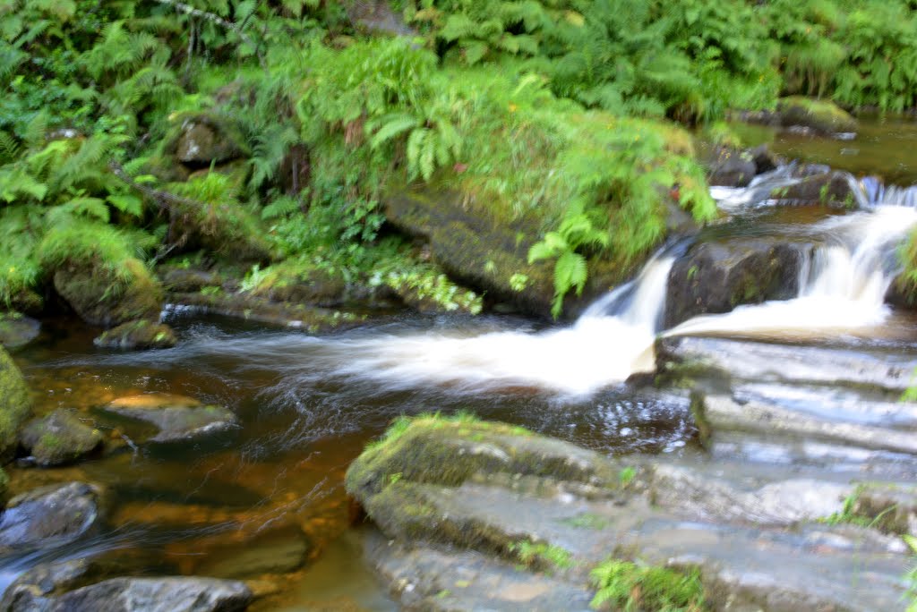 Llanrhaeadr-ym-Mochnant, UK by Lee Bryan