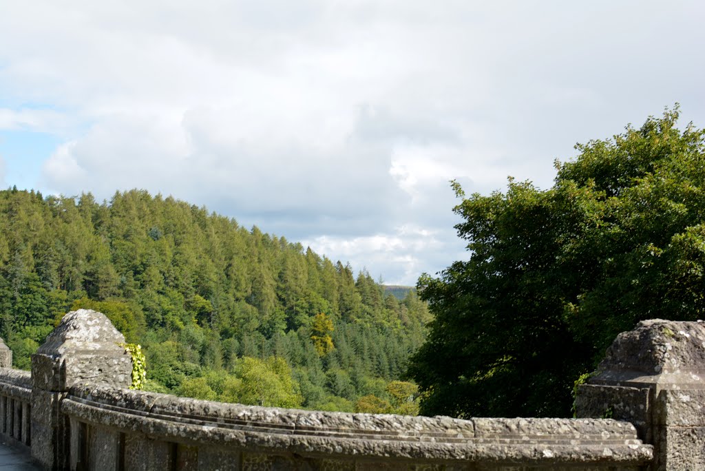 Llanwddyn, UK by Lee Bryan