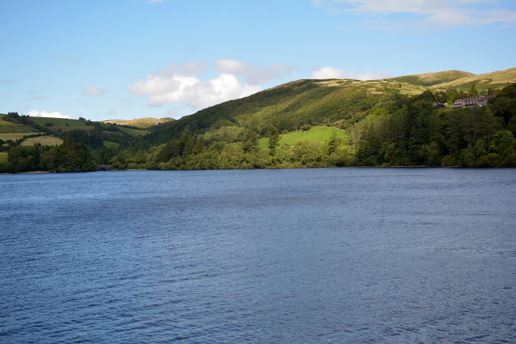 Llanwddyn, UK by Lee Bryan