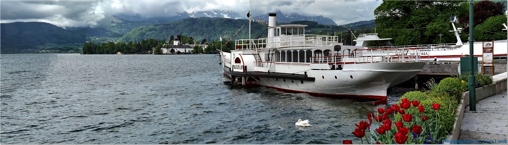 Gmunden képei .. ..Museumplatz 4, 4810 Gmunden, Ausztria by Imre Lakat