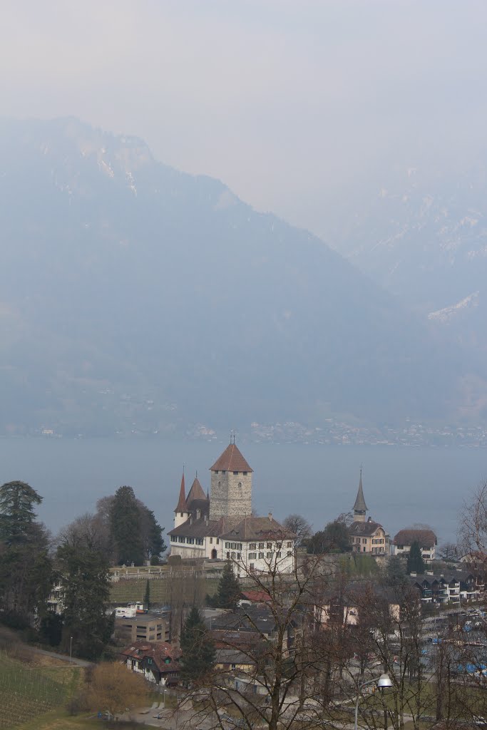 Spiez Castle by Raúlgh