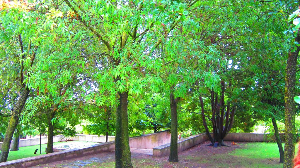 Jardim Botânico de Almada, Casa da Cerca, Portugal by Margarida Bico