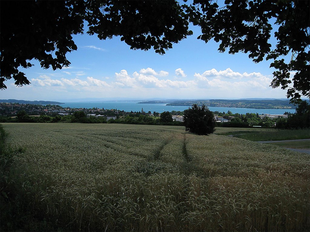 Aufkirch, Blick zum Bodensee by Armin Zepf