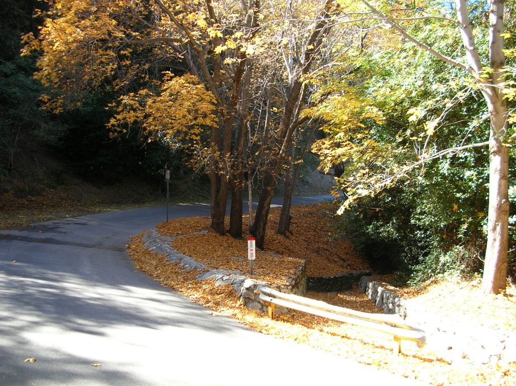 Autumn on the Ridge #2 by Fid Hawser