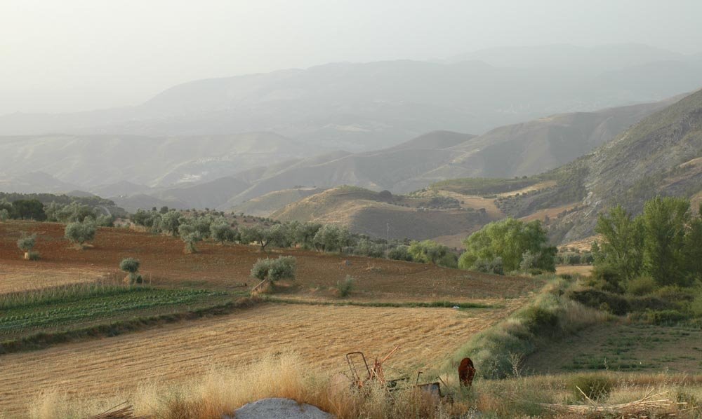 Vista desde Fuente del Hervidero by MiloAlbolote