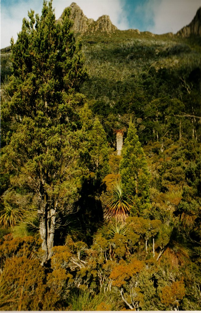 Cradle Mountain, Tasmania by pjon