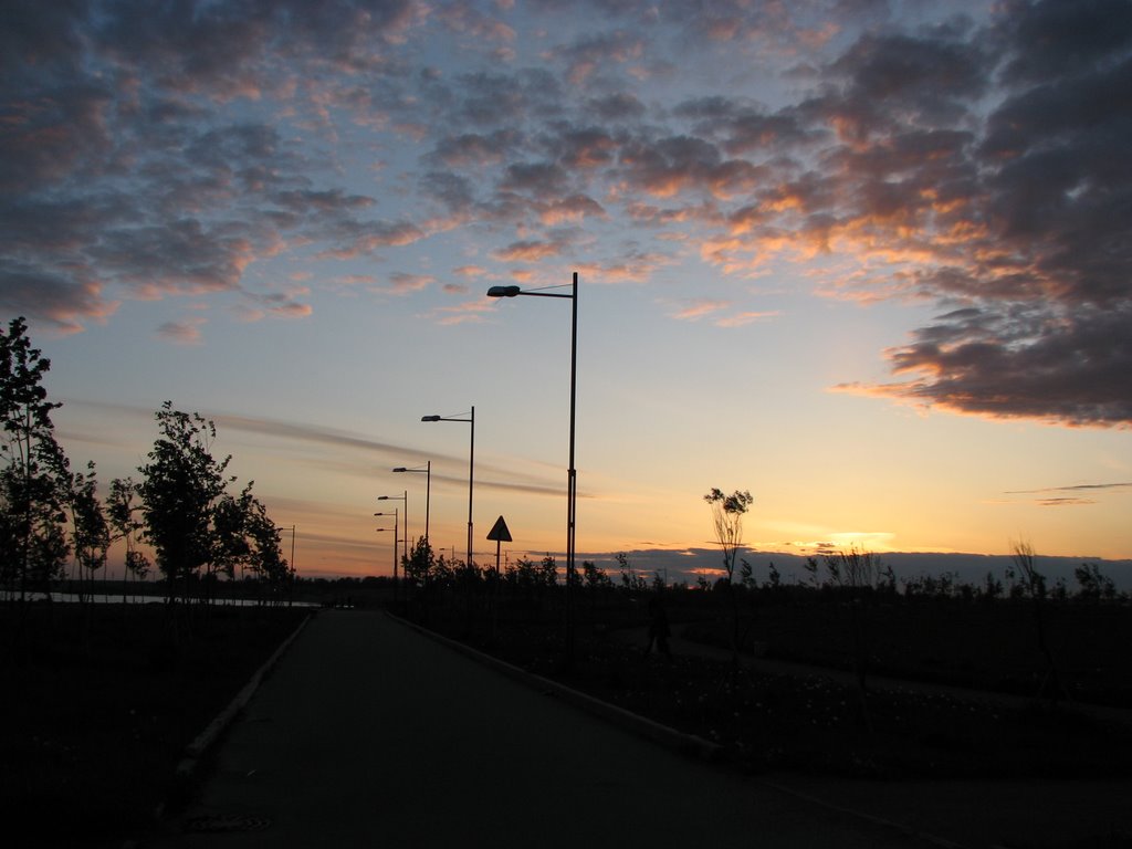 Sunset @ The Park of 300th anniversary of Saint-Petersburg by Andrey Kovalenko