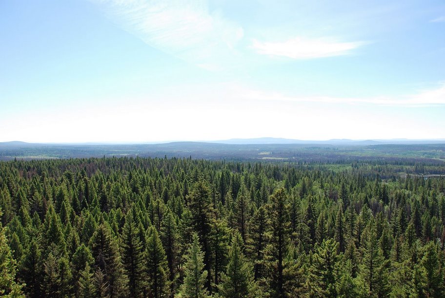 Mt Begbie Lookout > looking east over Wells Gray Park in British Columbia, Canada by 56737464