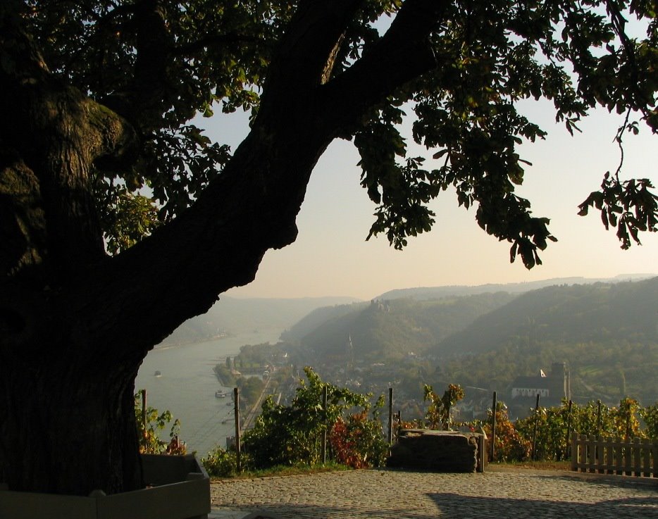 Blick auf Oberwesel by optikerholz