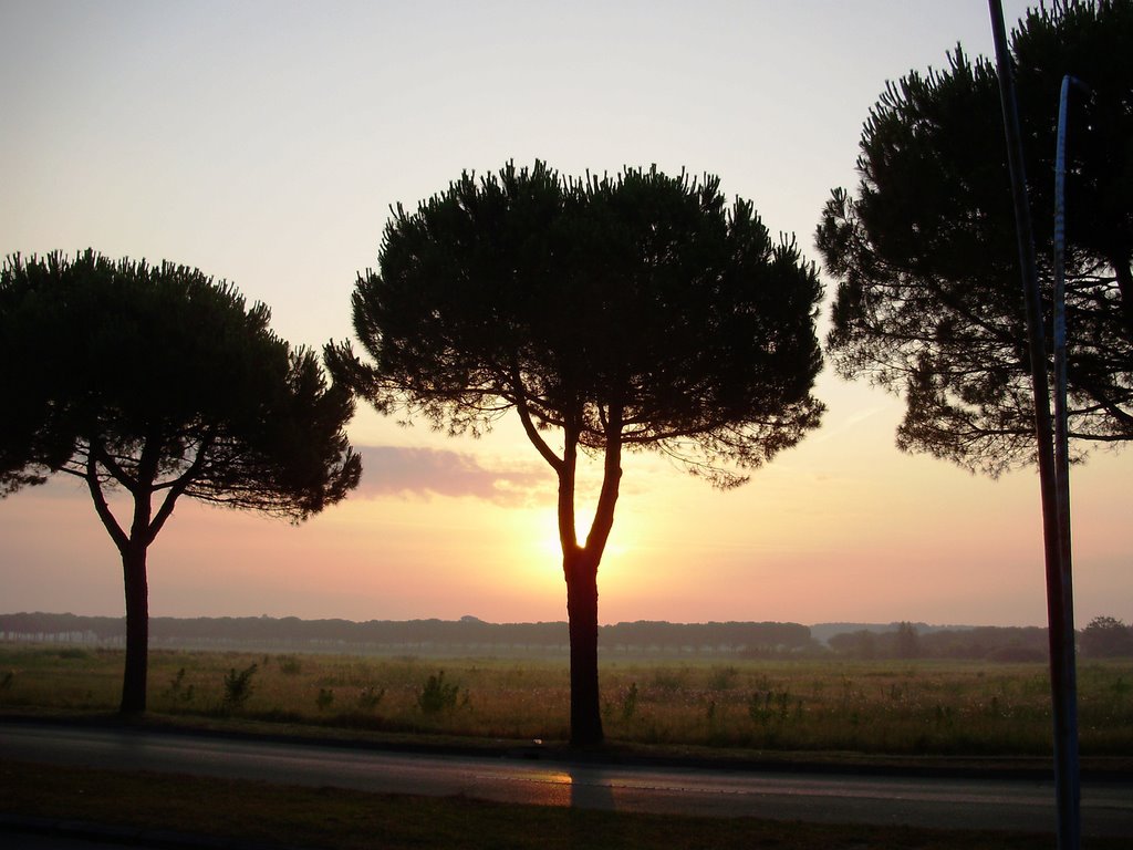 Arrivo a Bibione all'alba by ©  Imre Lakat