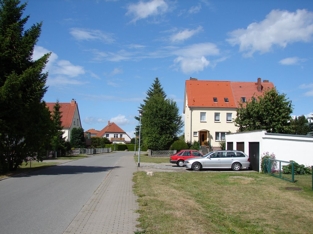 Am Anger Altefähr by Carl-Ernst Stahnke