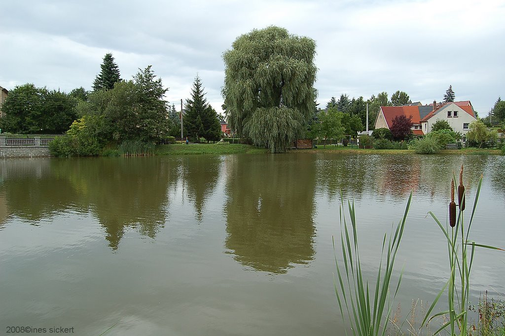 Leppersdorf Teich by ines sickert