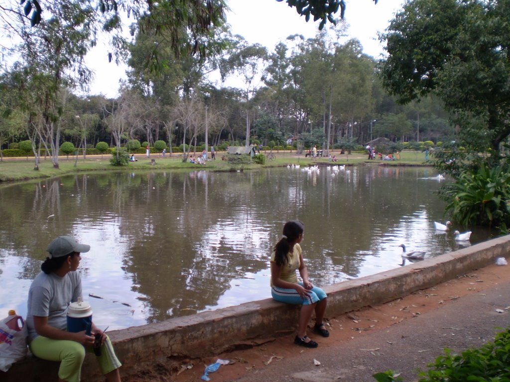 Un domingo en el parque by Tom Martinez