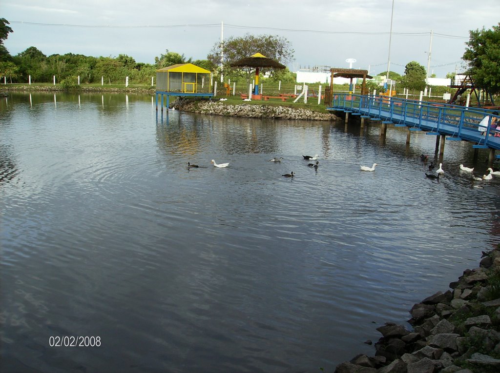 Natureza ao lado da Rodoviária by Rodrigo SL