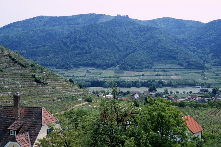 2004-05-21-View from Bracher Vineyard-Spitz by Ron Hapana