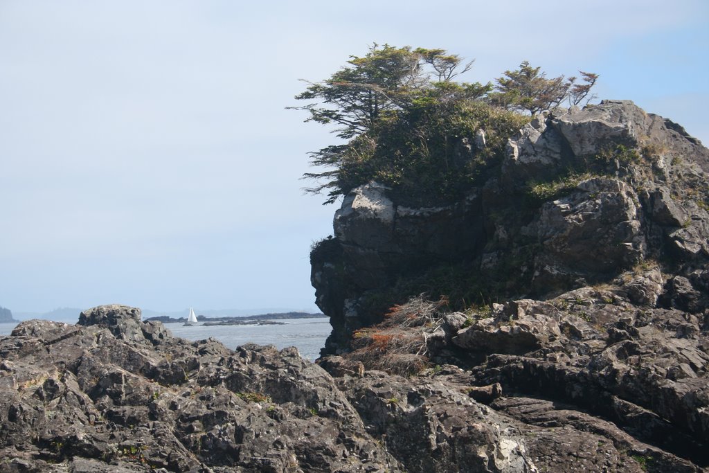 Canada's Real West, West Coast by Allen Lucas