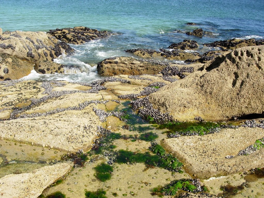 Islas Cies by Manuel Cárdenas Nada…