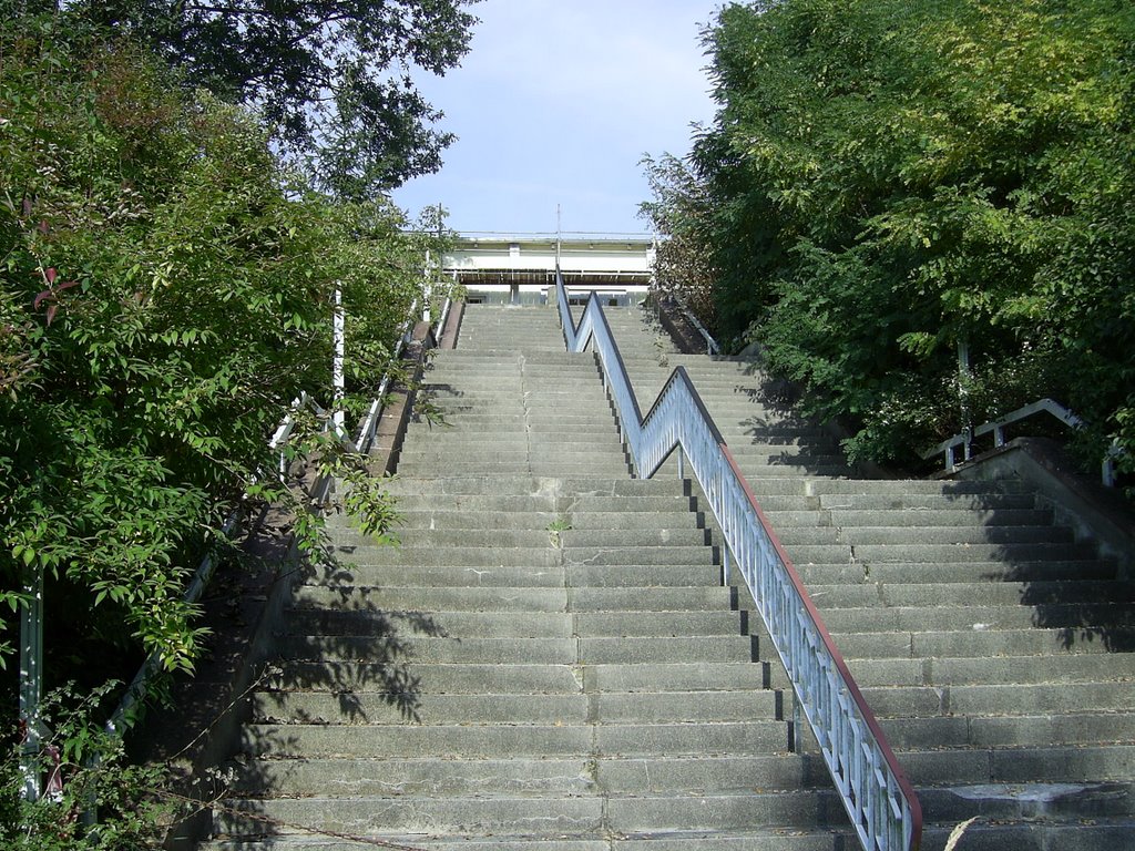 Treppe am Flämmingbad by JohnnyJackJim