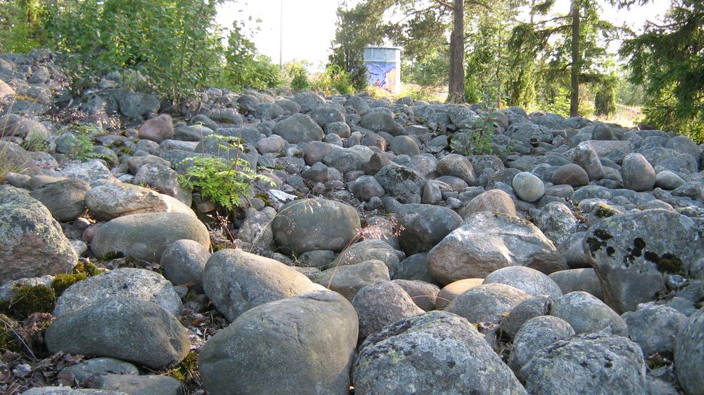 Raised shoreline Ancylus Lake, Jakomäki (Helsinki), 10,000 y BP, 60m asl, 2111 by Joachim Lent