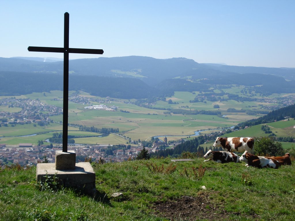 Depuis le Mont Vouillot by chodadog25