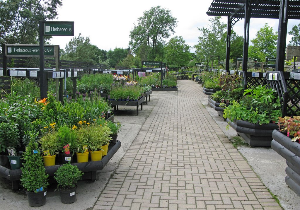 Closing time in the Nursery by Lesley Rigby