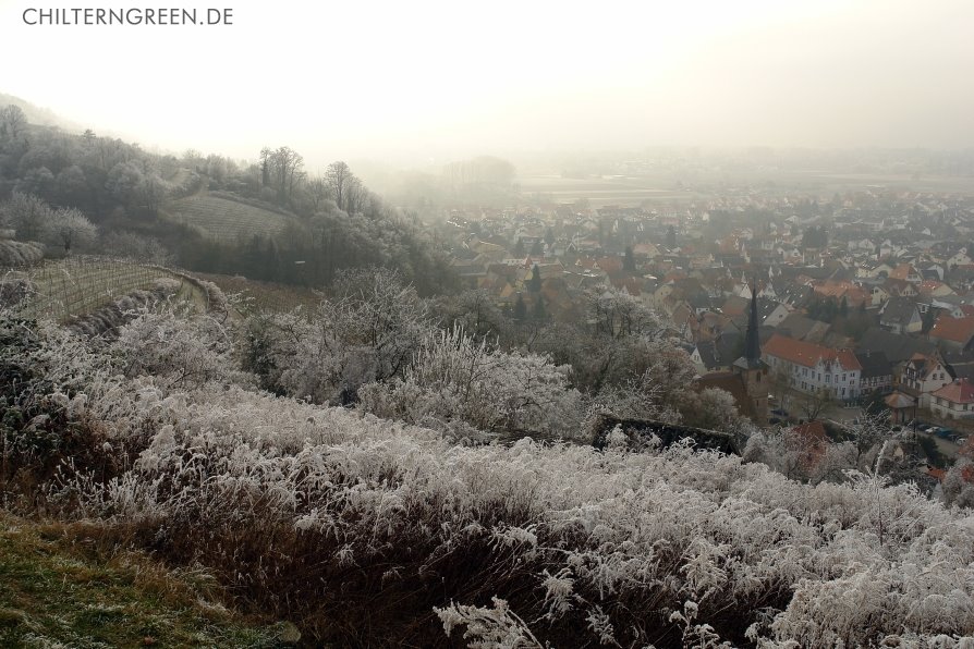 Winternebel über Laudenbach by Michael Schäfer - chilterngreen.de