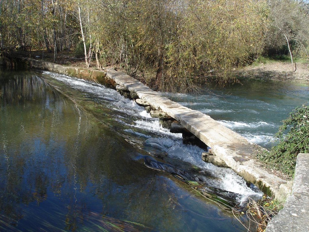 Ponte de pedra no rio Alviela by huiriea