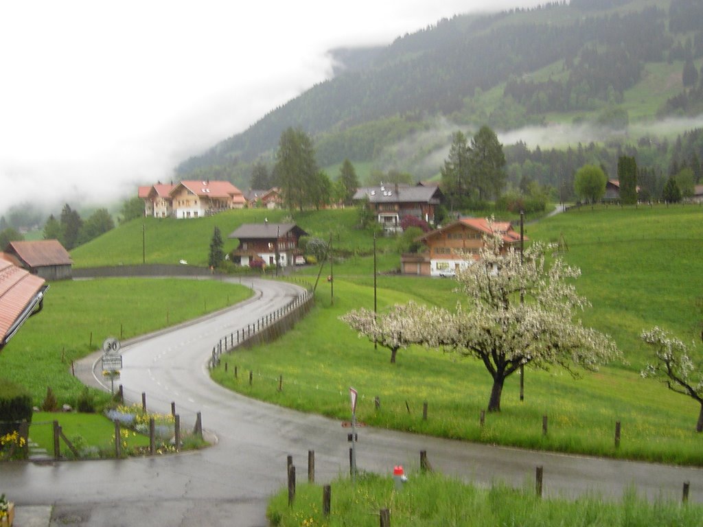 Regentag im Frühling by buemohaus