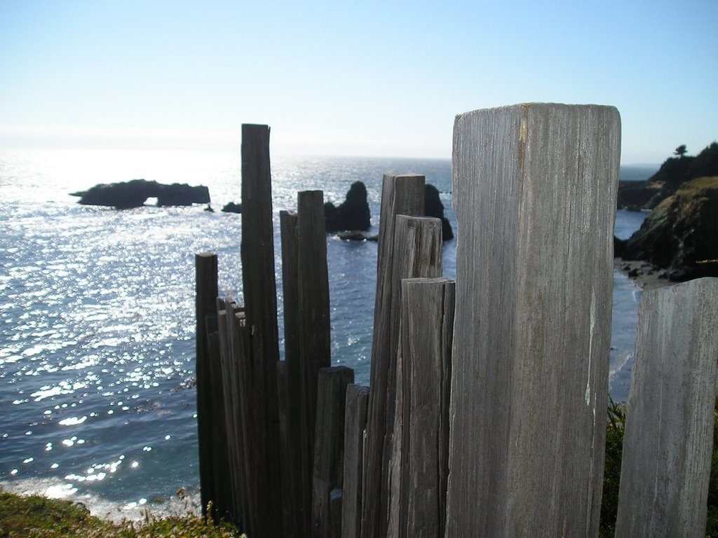 Sea Ranch Beauty by Tim Kurteff-Schatz