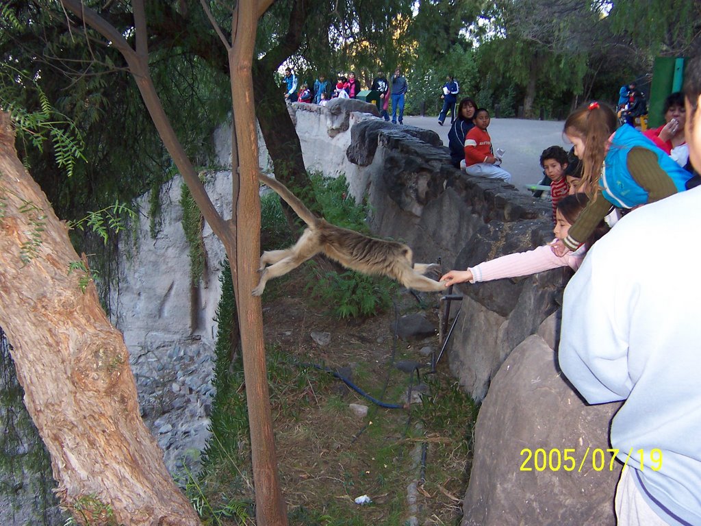 Zoo de Mendoza by Eduardo Lella