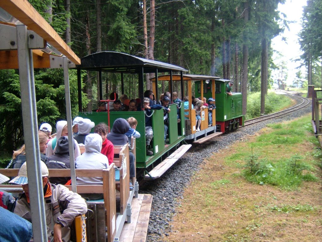 Lichtenhain/Berbahn: Die Lichtenhainer Waldeisenbahn "LWE" by karei