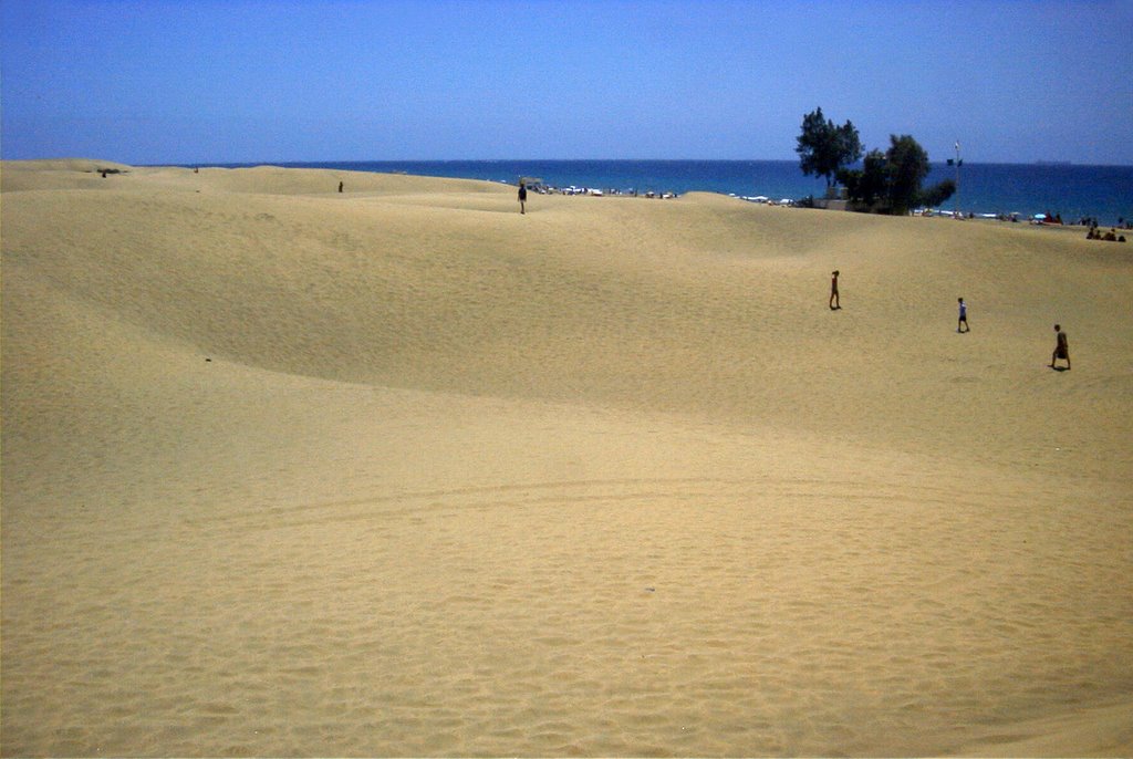 Gran Canaria - Maspalomas, summer 2002 by T. Liebscher