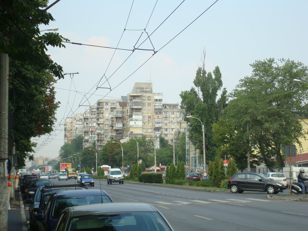 Militari, Bucharest, Romania by Eugen Simion