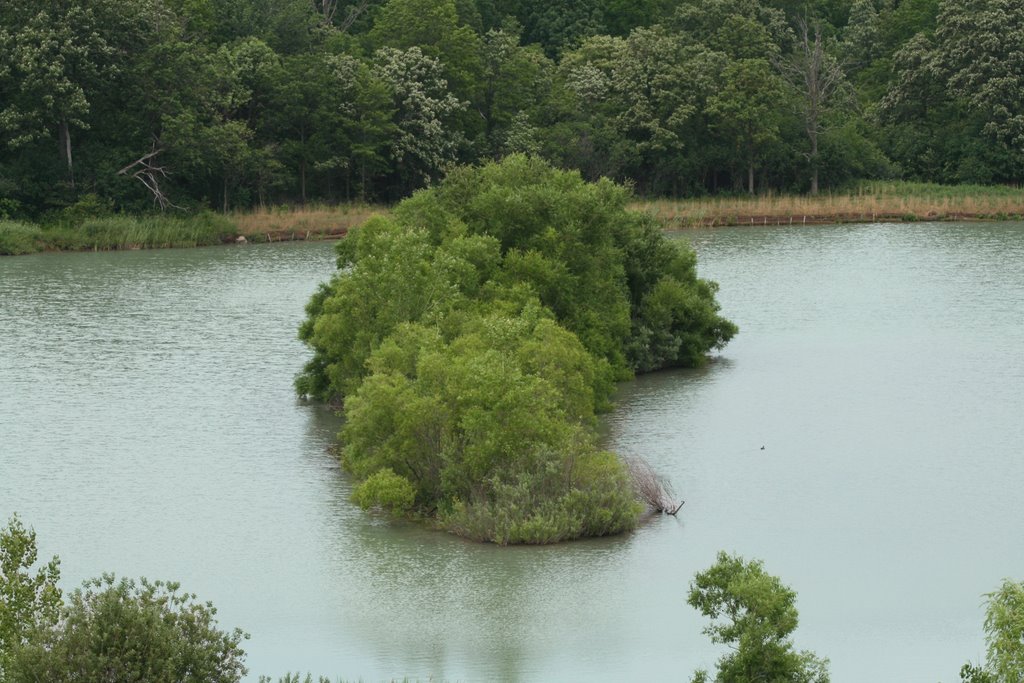 Glenridge Quarry Naturalization Site by KathyT