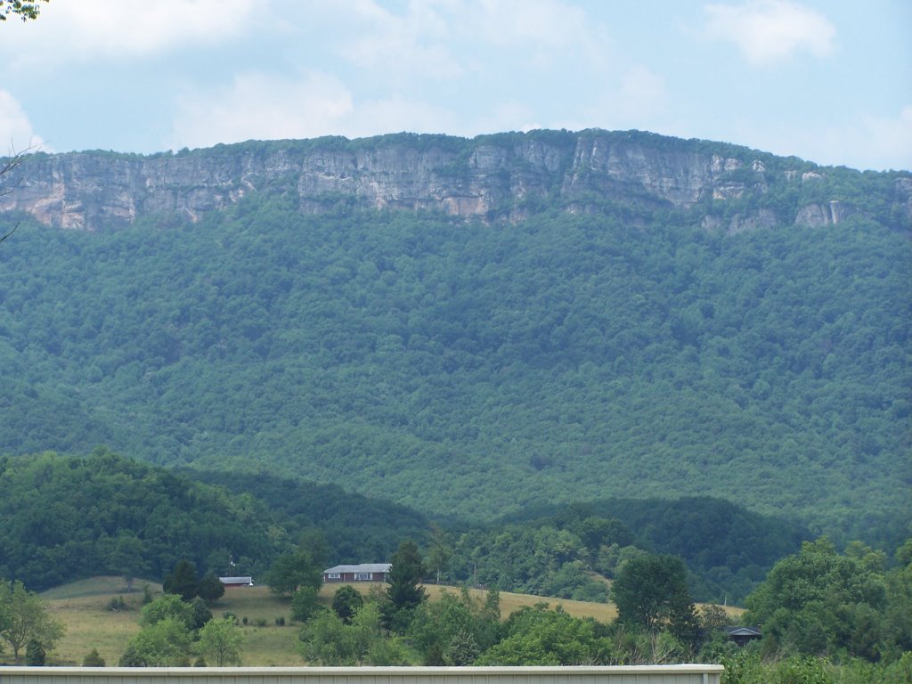 White Cliffs in Cumberland Gap Nat'l Park by JHKrantz