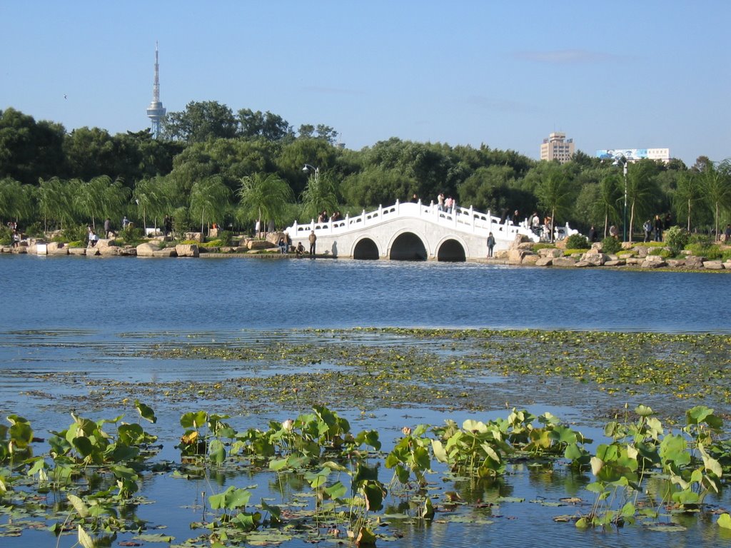 Nanhu's western improvement - new bridge - Sept2006 by Dan Kuehner