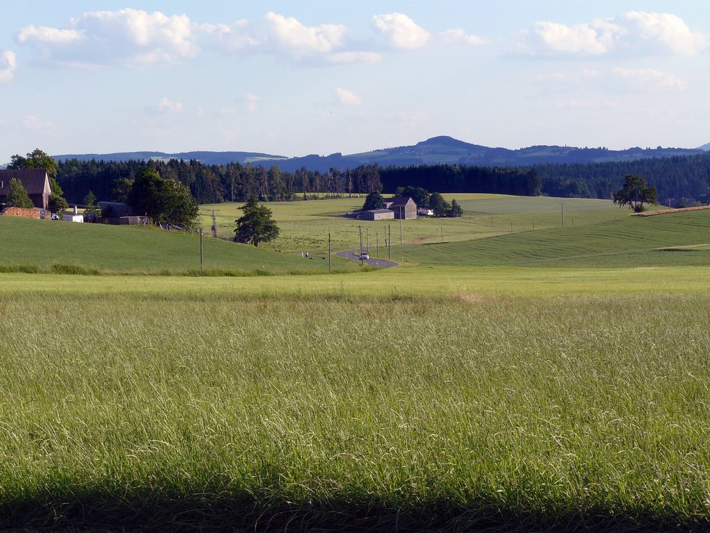 Pullenreuth-Höll Richtung Neusorg by ConnyFoto