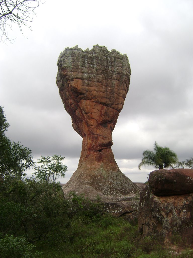 Parque Estadual de Vila Velha by Alex Carniel