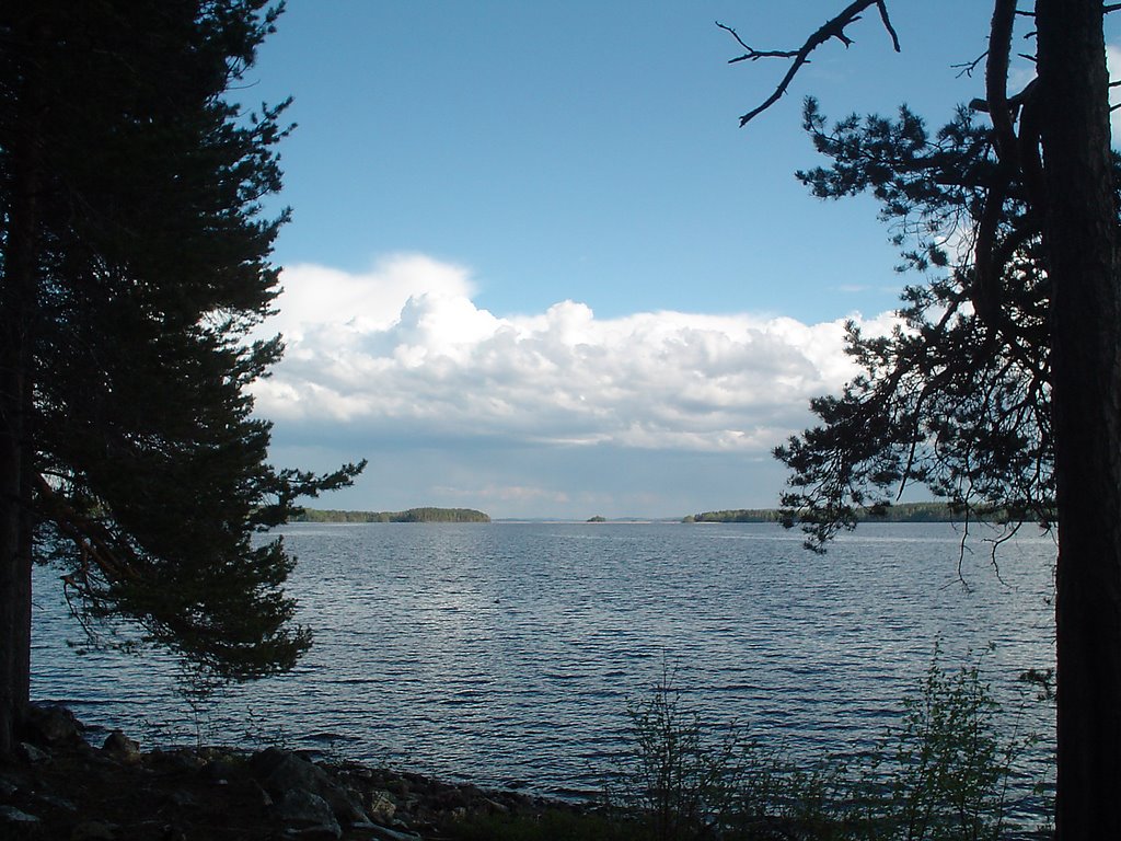 Lake Pielinen by Ritva Astikainen