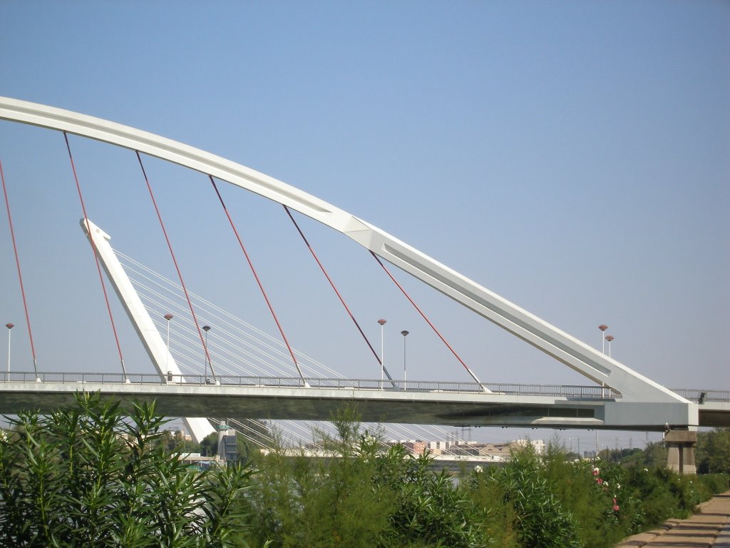 Puentes sobre el Guadalquivir by Paco Real